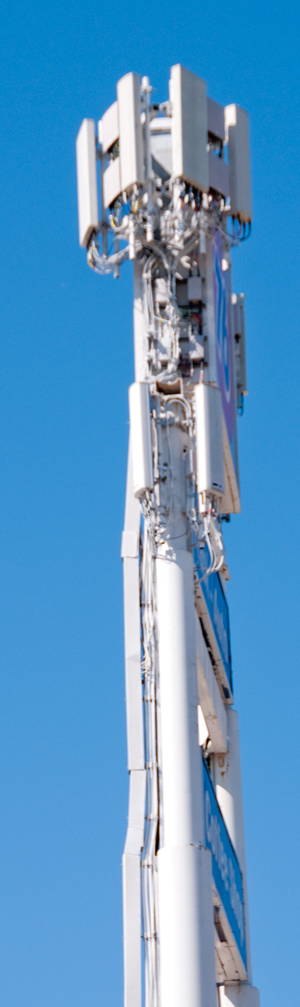 Multiple Cell
                  Co. Site