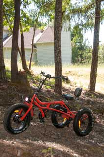 Addmotor
                      MOTAN M-360 Electric Fat Trike