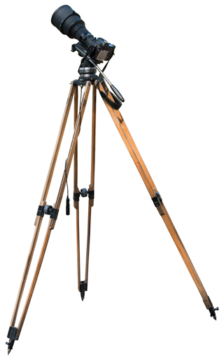 Arri 100mm Ball Head
            tripod