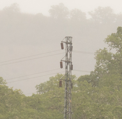 Nikon D800e
                    & AF 200mm f/4 Auto ISO test