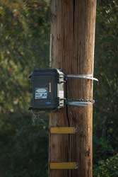 Black
                              Boxes Chained to Poles