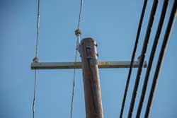 Black
                              Boxes Chained to Poles