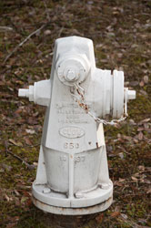 Clow Wet
                      Barrel Fire Hydrant