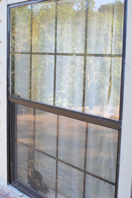 Nikon D300s
                w/o Polarizing Filter showing Reflection