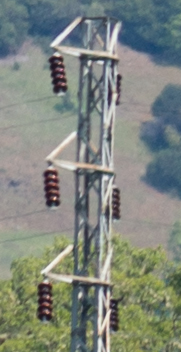 Nikon D800E
                    200mm f/4Auto ISO Test, full frame 37MB image
                    (Sunny) Crop