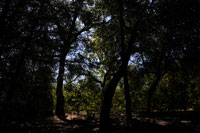 -3
                    stops exposure