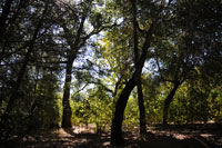 -1 stop
                    exposure