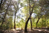 +1 stop
                    exposure