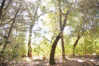 +2
                    stops exposure