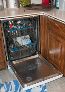 GE Model: GDF570SGFWW, s/n: MF749137B Dishwasher
                  leaks