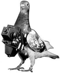 GB190813128
                      Method of and Means for Taking Photographs of
                      Landscapes from Above, Julius Neubronner,
                      1909-01-28