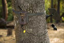 GardePro E6P
                  & SP300