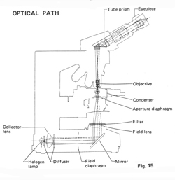 Nikon Labophot Optical Path