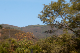 Nikon 10X CF
                  Plan objective with home made tube lens