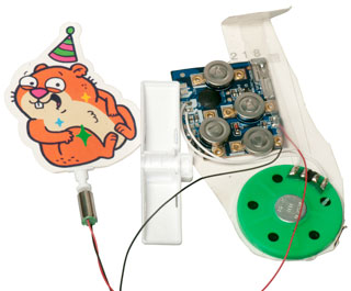 Silly Happy
                    Crazy Birthday Card Motor