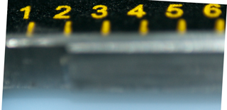 Nikon 55
mm f/2.8 AiS Marro Lens Reversed + MC7 2X
Teleconverter