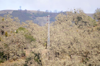 Nikon
                  300mm Amode 1/4000 @ f/2.8 Hand Held