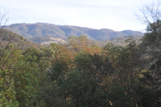 Photo taken
                with Nikon D300s & Meta GPS M2