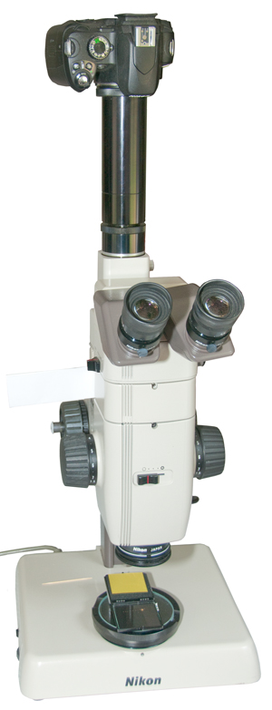 Nikon
                        SMZ-U Stereo Zoom Microscope