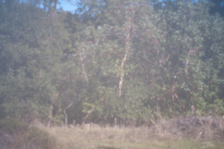 Holga
                HPL-N 0.25mm Pin Hole Lens