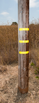 Telephone Pole Maintenance