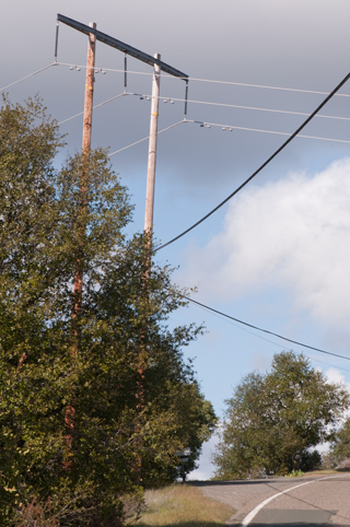 Brooke's Guide to Utility Poles