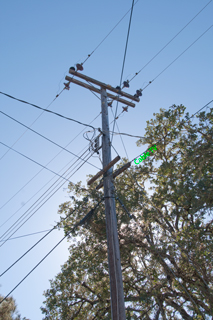 Brooke's Guide to Utility Poles