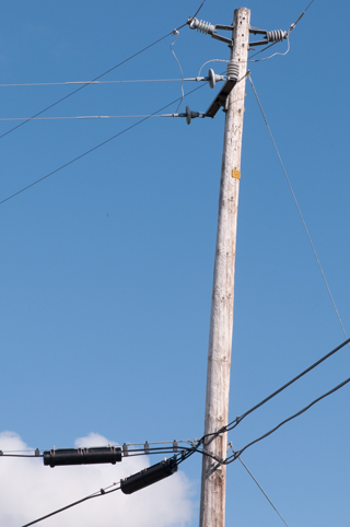 Brooke's Guide to Utility Poles