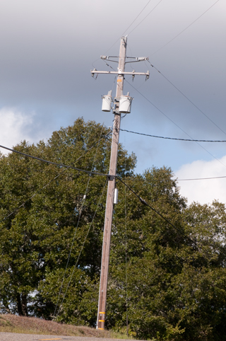 Brooke's Guide to Utility Poles