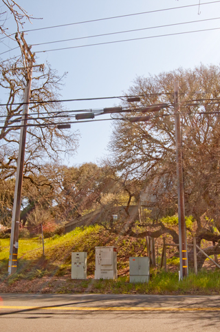 Brooke's
                      Guide to Utility Poles