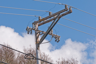 Brooke's Guide to Utility Poles