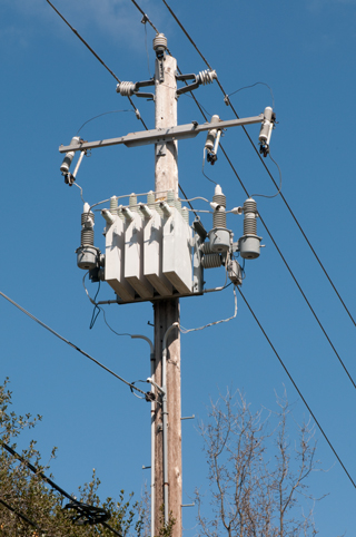 Brooke's Guide
                      to Utility Poles