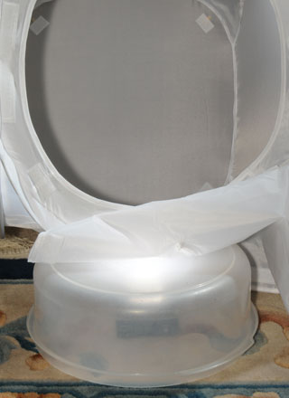Collapsible
                  Soft Box Light Tent 16" on plastic kitchen bowl
                  with SB-R200
