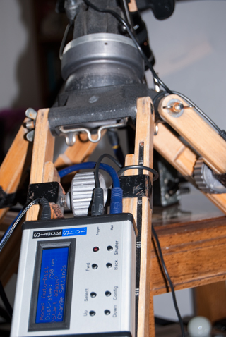 StackShot,
D300s, 55mm Macro f/2.8 AiS Reversed, Arri Tripod