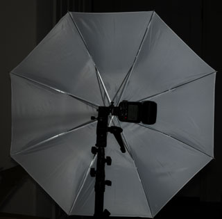 Light
                Stand, Pro Umbrella Clamp, SB-900 Speedlight, Umbrella
